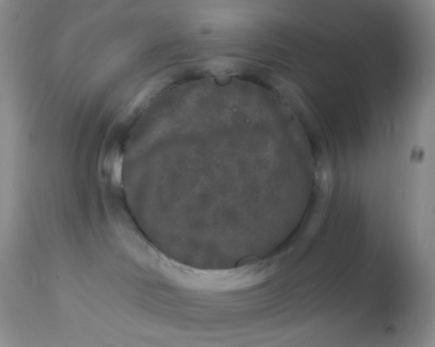 X0000110940046200907022143