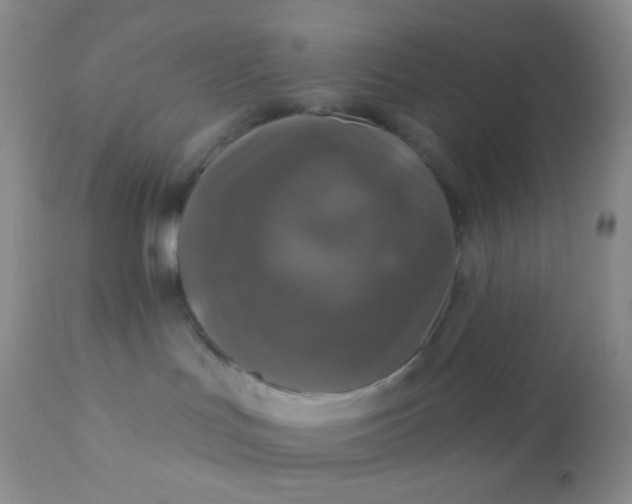 X0000110940047200907022143