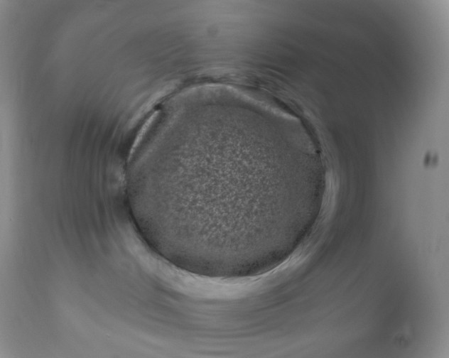 X0000110940048200907022143