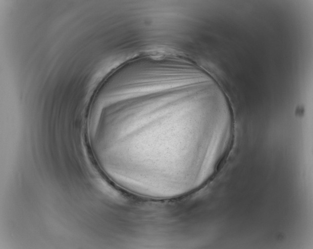 X0000110940049200907022142