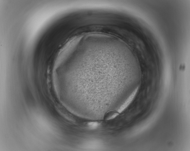 X0000110940050200907022142