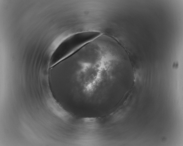 X0000110940052200907022142