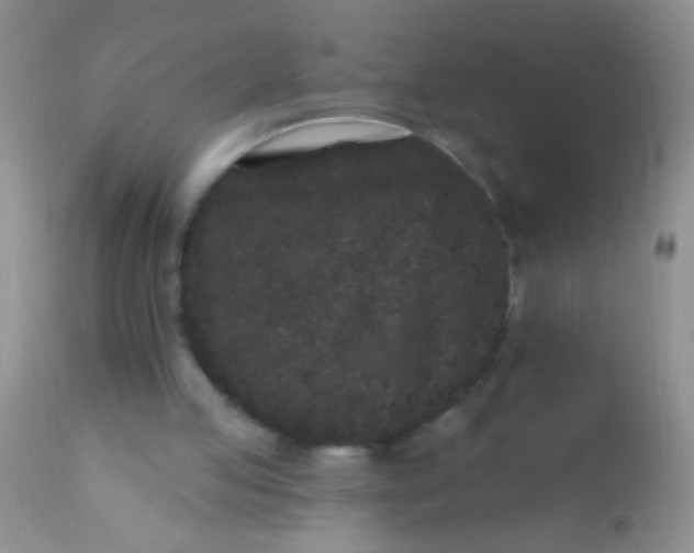 X0000110940053200907022142