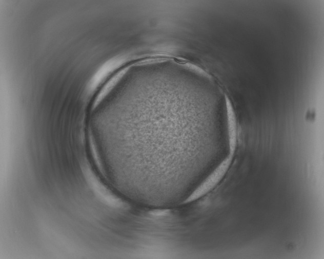 X0000110940054200907022142