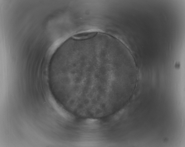 X0000110940055200907022142