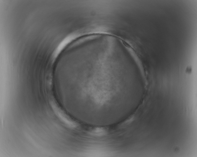 X0000110940056200907022142