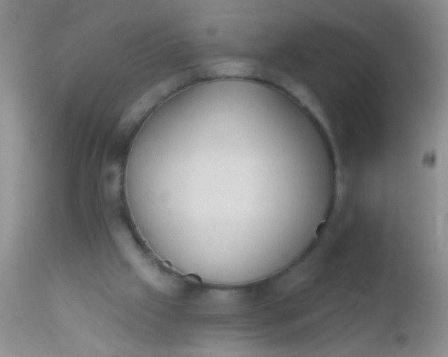 X0000110940057200907022142