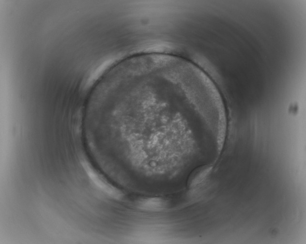 X0000110940058200907022142