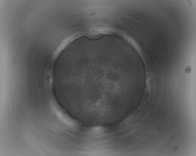 X0000110940059200907022142