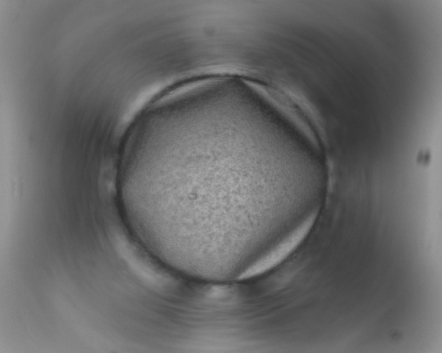 X0000110940060200907022142