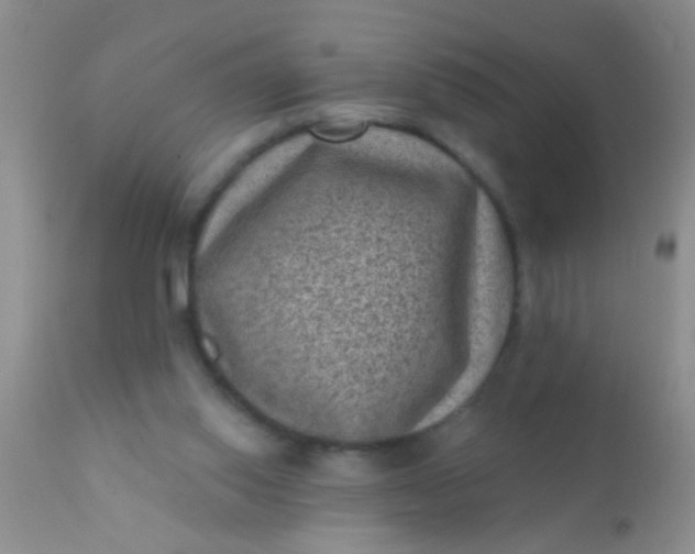 X0000110940062200907022142