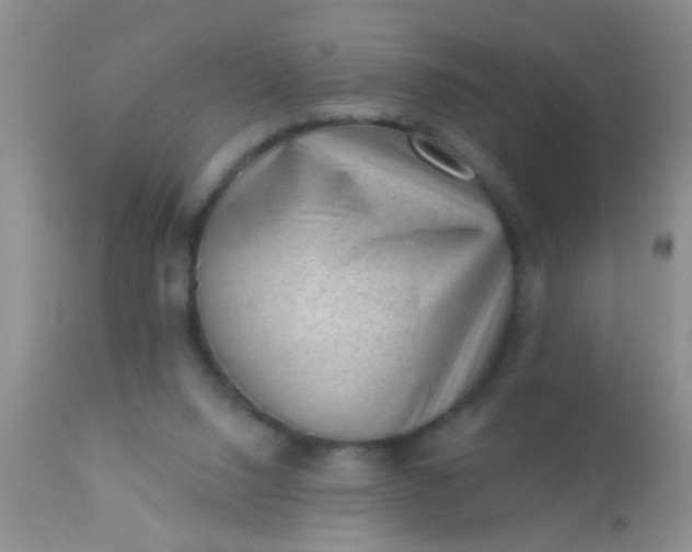 X0000110940064200907022142