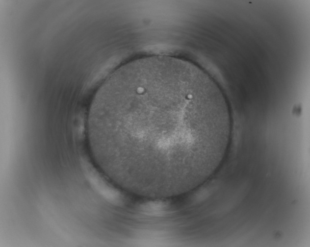 X0000110940065200907022142