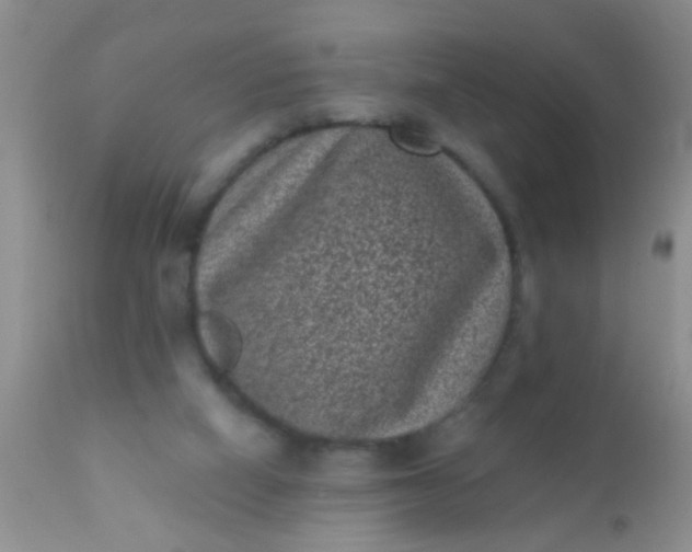 X0000110940066200907022142