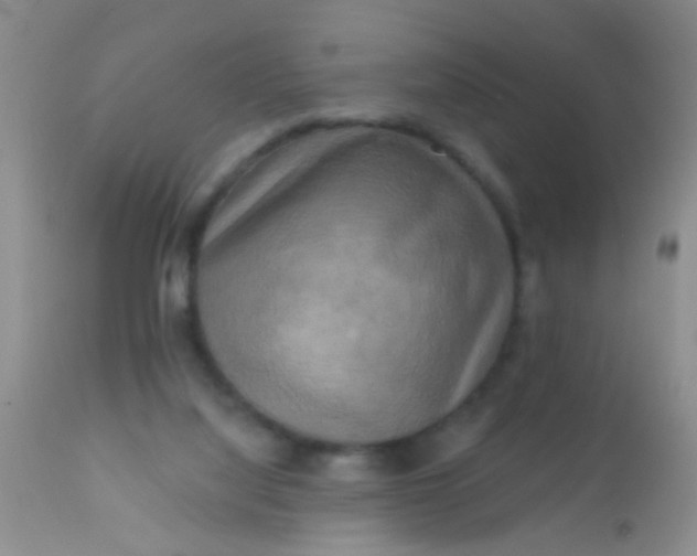 X0000110940068200907022142