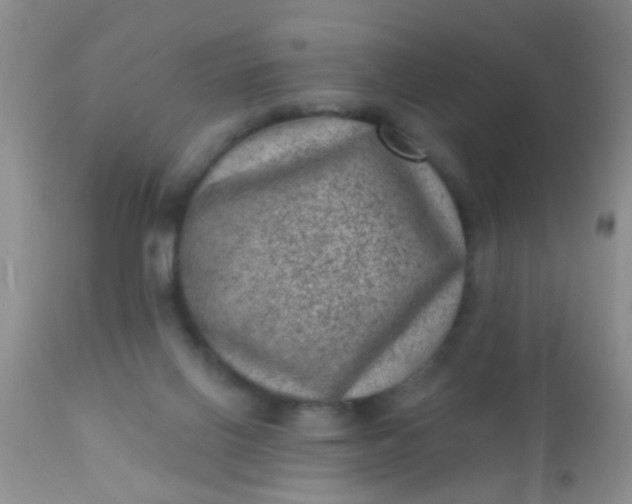 X0000110940070200907022143