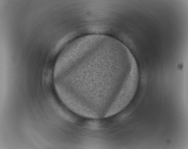 X0000110940071200907022143