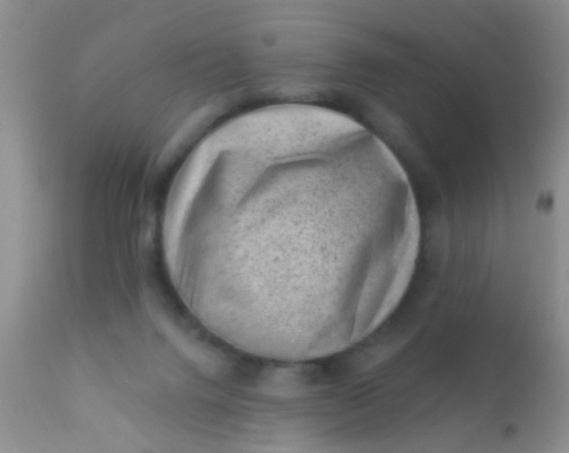 X0000110940072200907022143