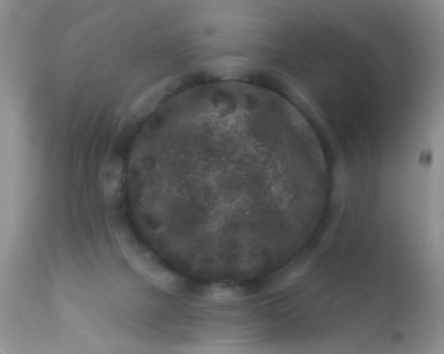 X0000110940073200907022143