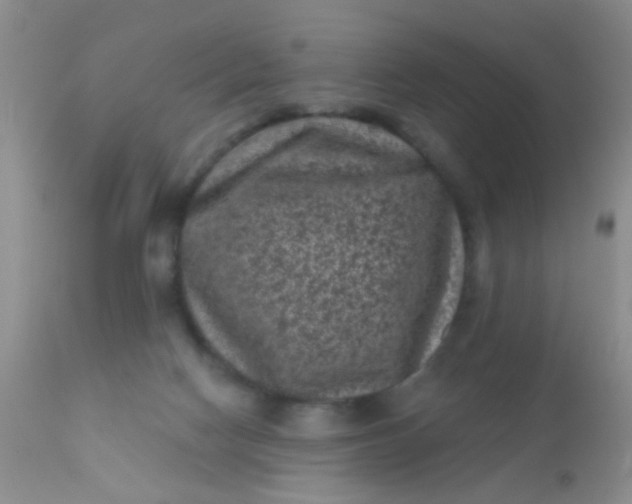 X0000110940074200907022143