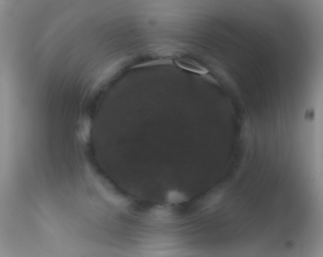 X0000110940076200907022143