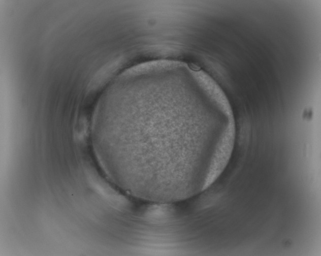 X0000110940077200907022143