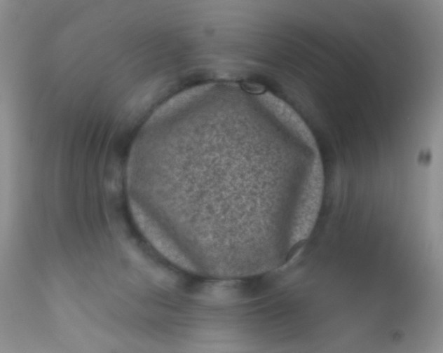 X0000110940078200907022143