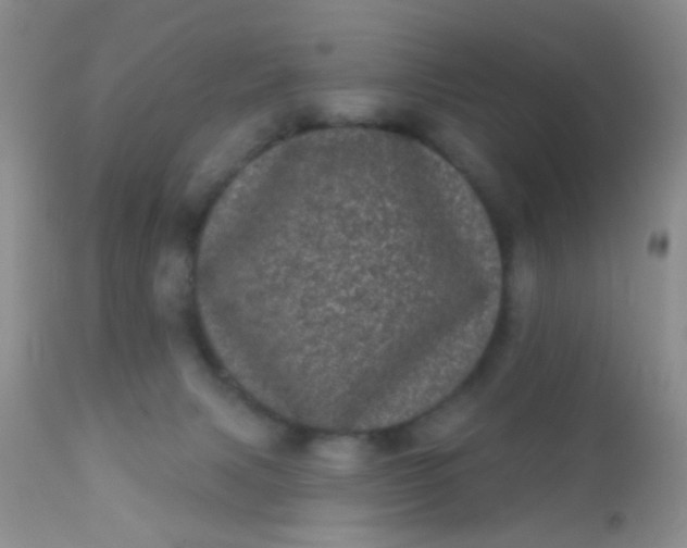 X0000110940079200907022143