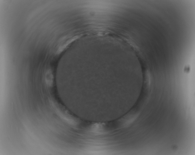 X0000110940080200907022143