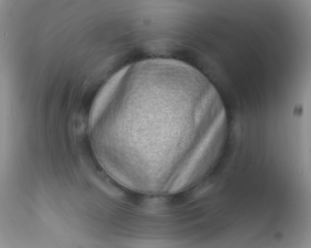 X0000110940081200907022143