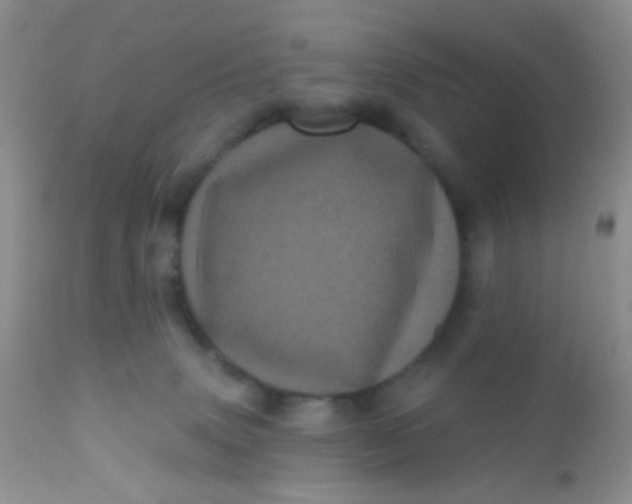 X0000110940083200907022143