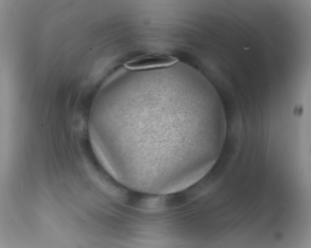 X0000110940084200907022143