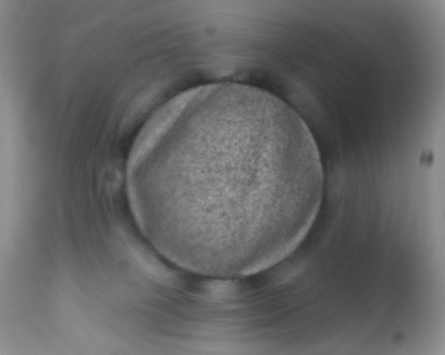 X0000110940085200907022143