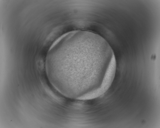 X0000110940086200907022143