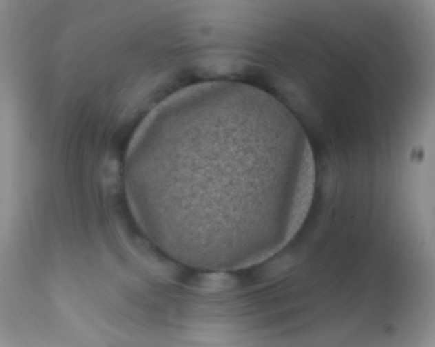 X0000110940087200907022143