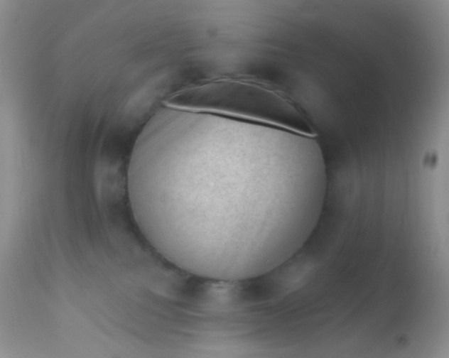 X0000110940088200907022143