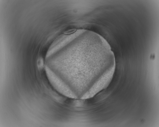 X0000110940089200907022143