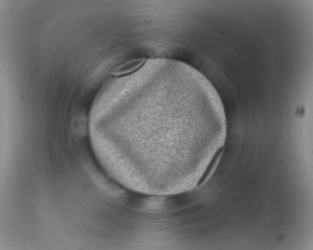 X0000110940090200907022143