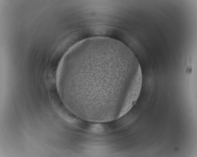 X0000110940091200907022143