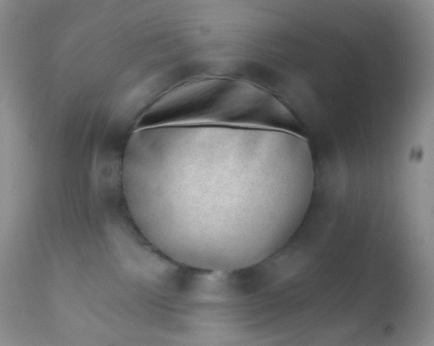 X0000110940092200907022143