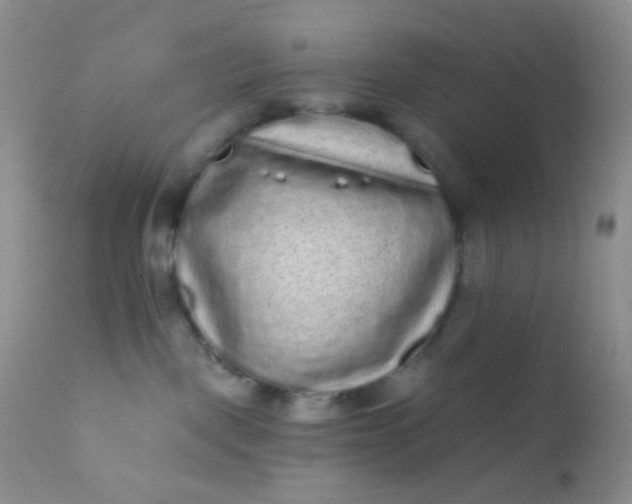 X0000110940093200907022143