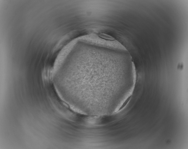 X0000110940094200907022143