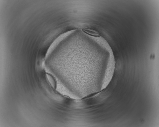 X0000110940095200907022143