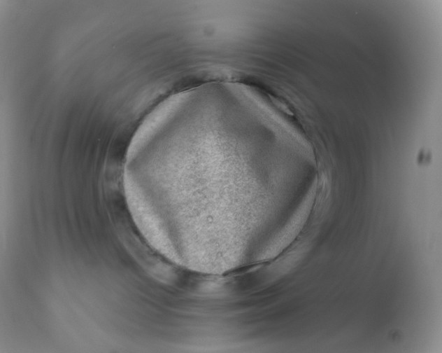 X0000110940096200907022143