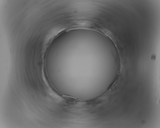 X0000110940097200907022142