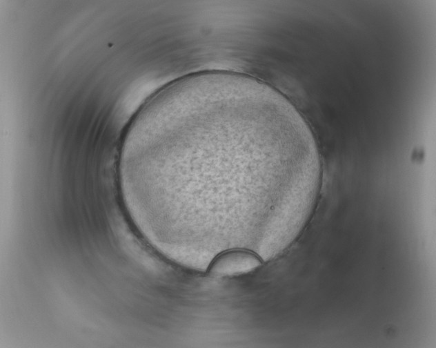 X0000110940098200907022142