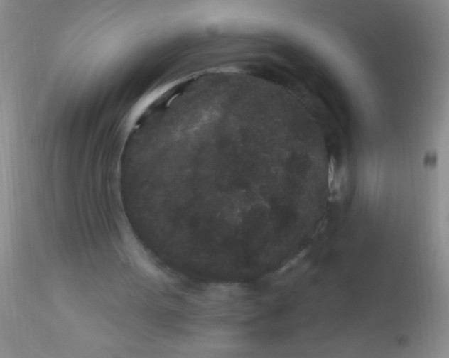 X0000110940099200907022142