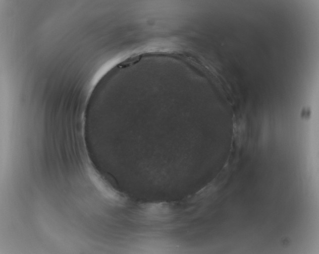 X0000110940100200907022142