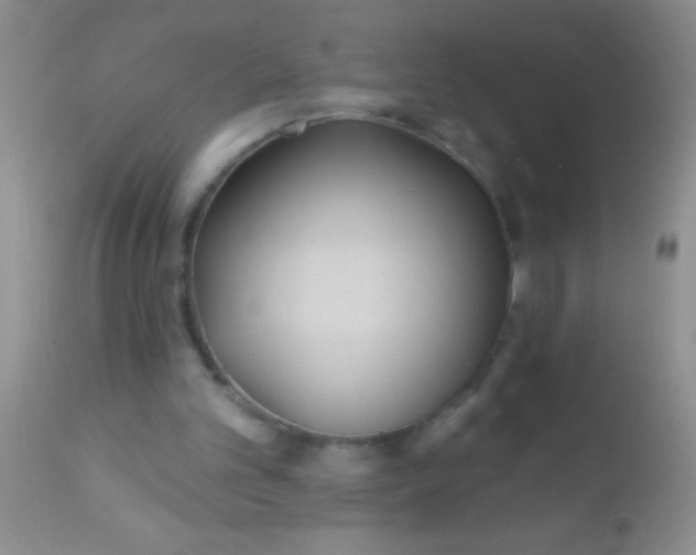 X0000110940101200907022142