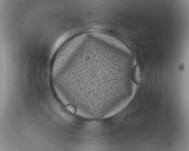 X0000110940102200907022142